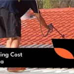 Professional painter applying protective coating to a residential roof.