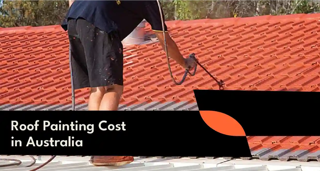 Professional painter applying protective coating to a residential roof.